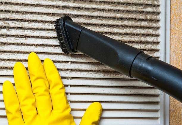 Best Professional Duct Cleaning Services  in North Auburn, CA